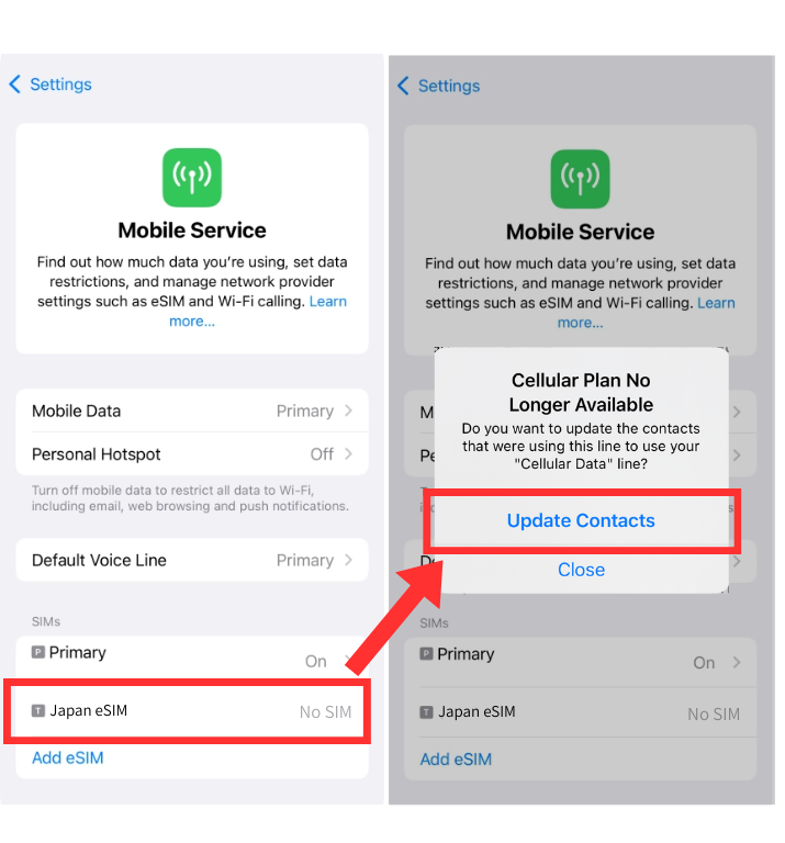 iPhone delete eSIM