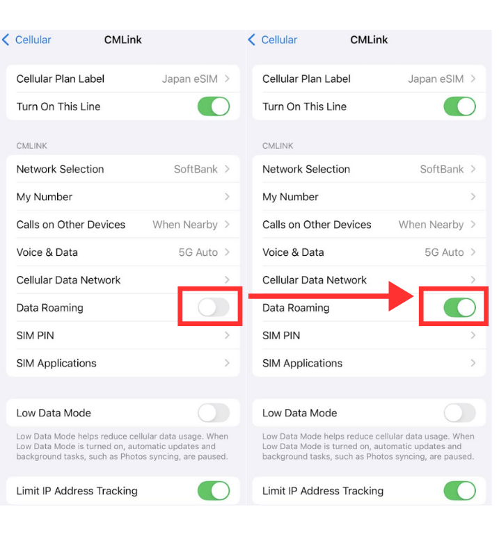 iPhone detaroaming on