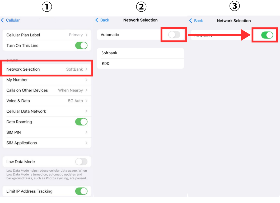 iPhone network selection
