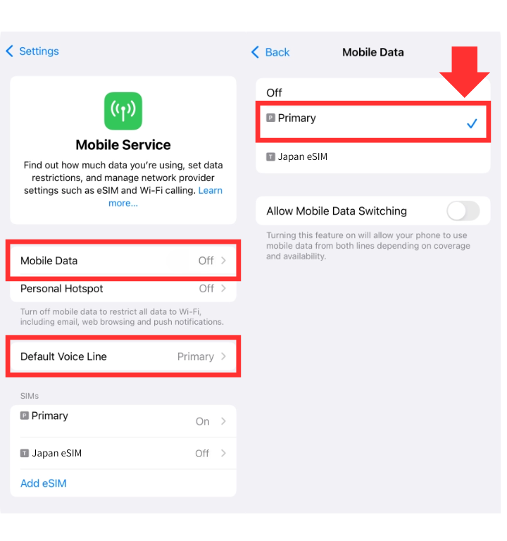 iPhone turn on home SIM