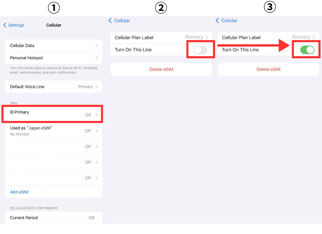 iPhone turn on home SIM