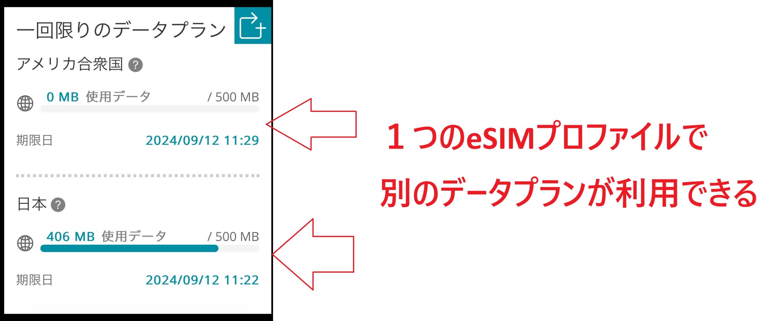 UbigiのeSIMプロファイル