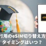 海外旅行用のeSIM切り替え方法は？-タイミングはいつ？