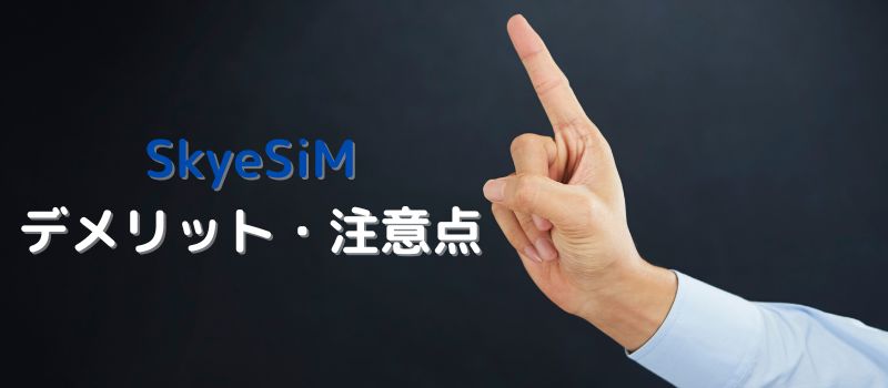 SkyeSiM　デメリット