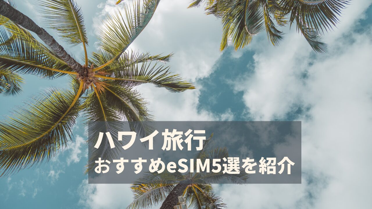 ハワイ　esim おすすめ