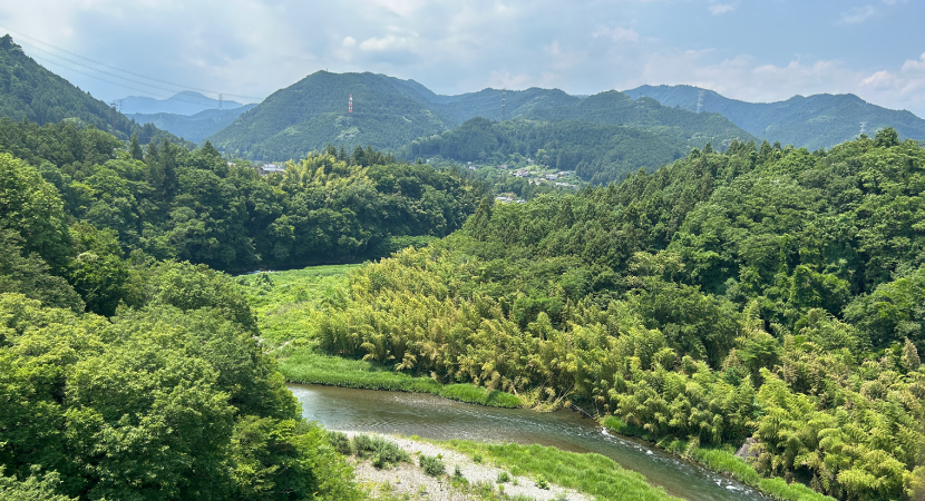 青梅市