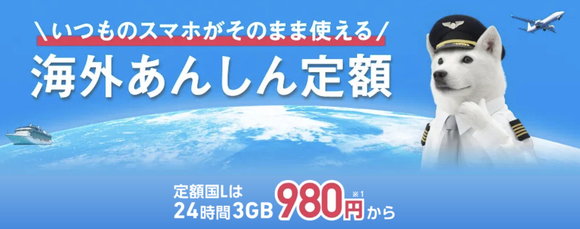 海外あんしん定額