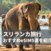 スリランカ　eSIM　おすすめ