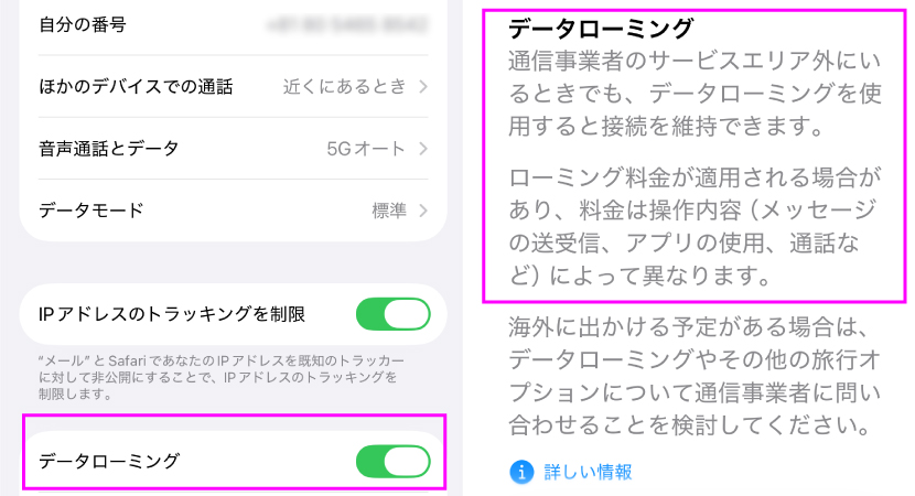 iPhone データローミング設定