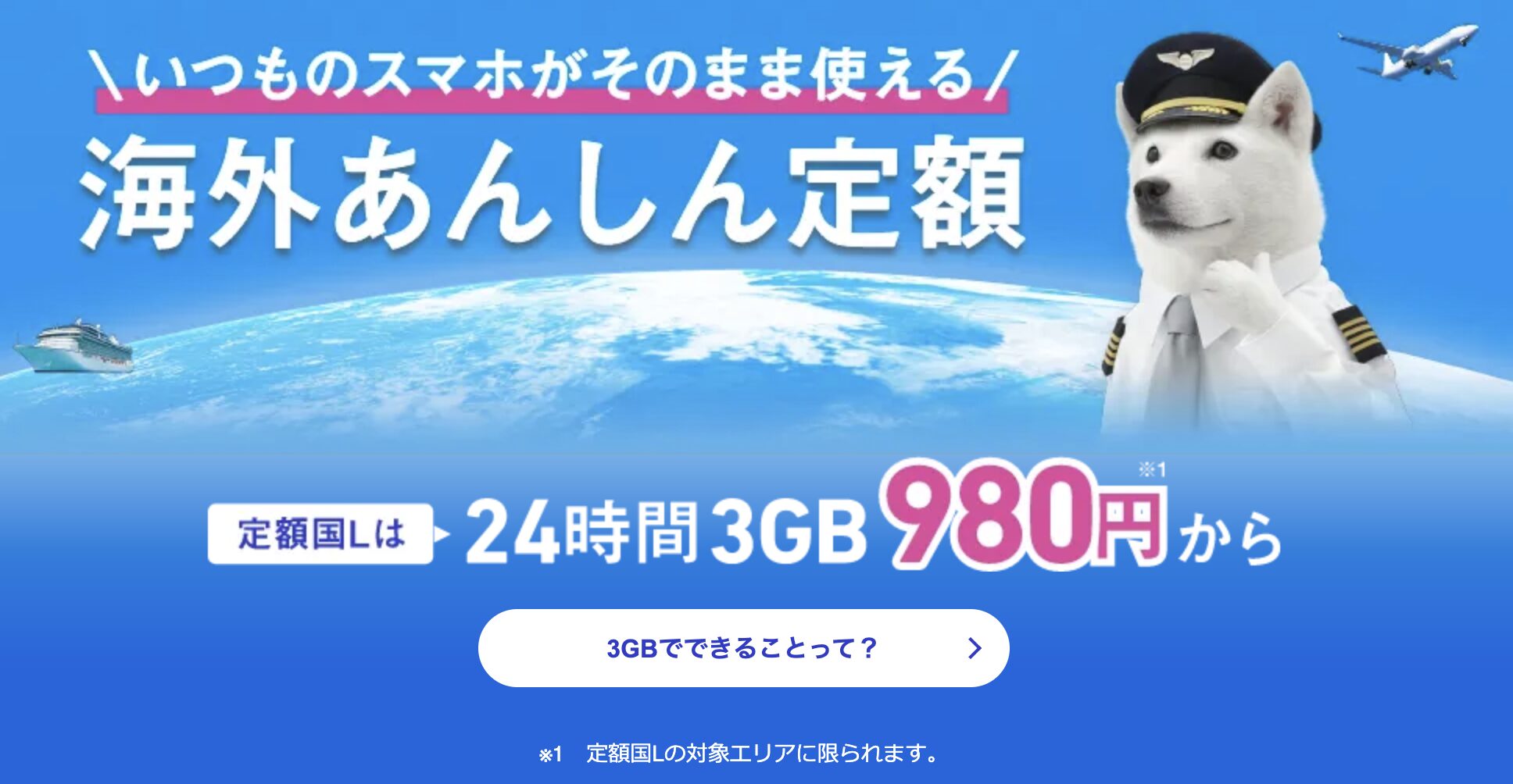 海外あんしん定額