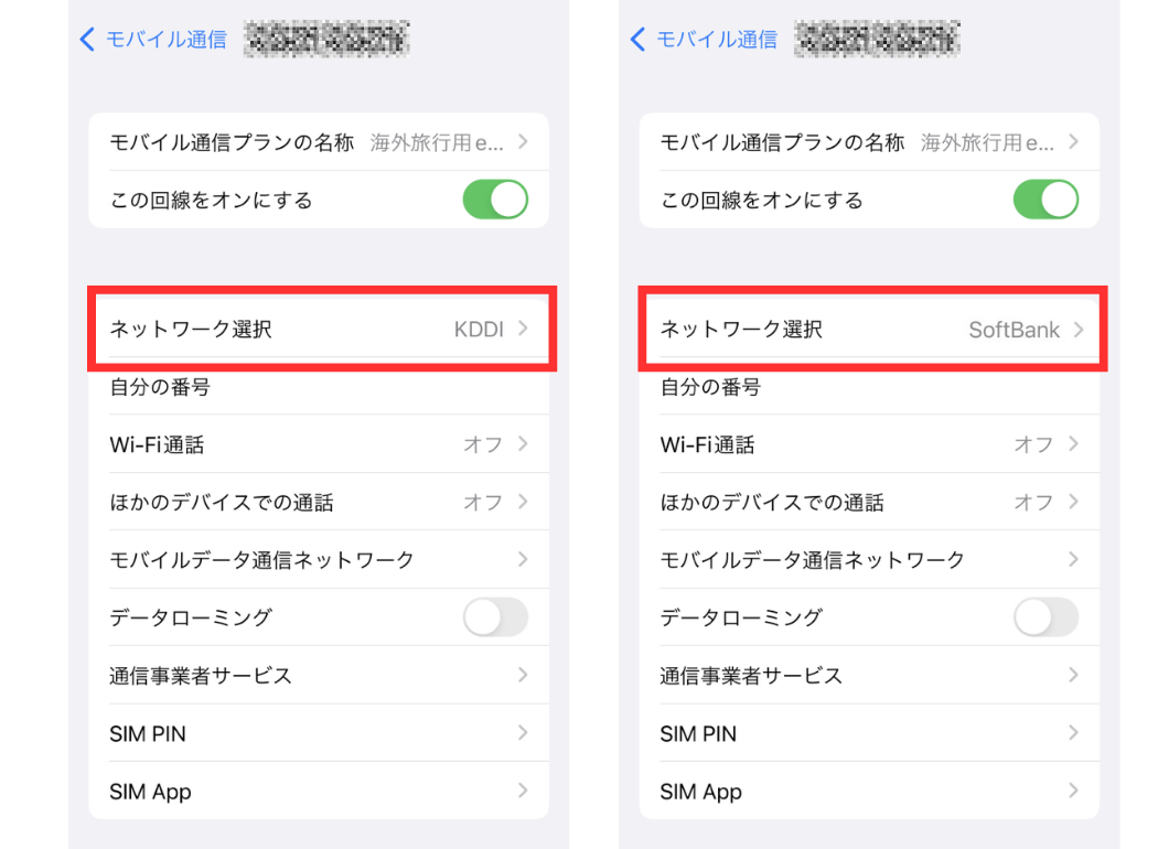 iPhone network selection