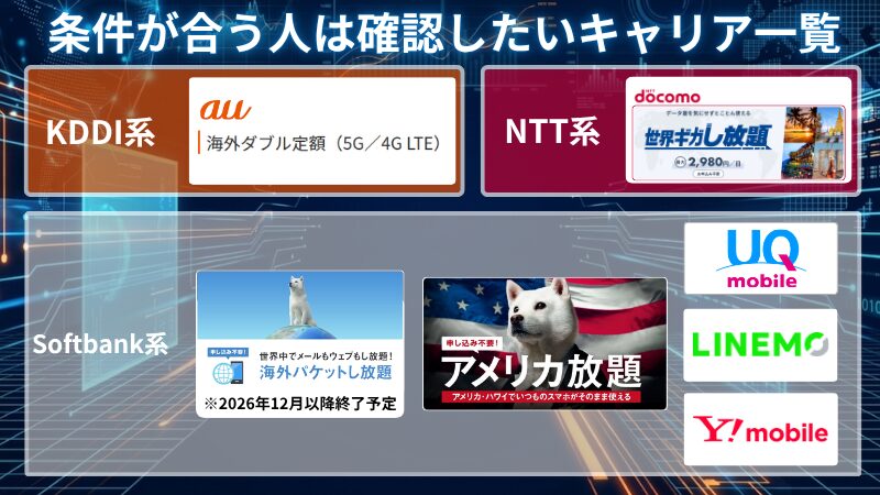 海外ローミング 番外一覧