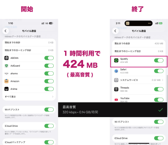 iPhone モバイルデータ通信画面