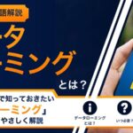 用語解説 データローミング サムネイル
